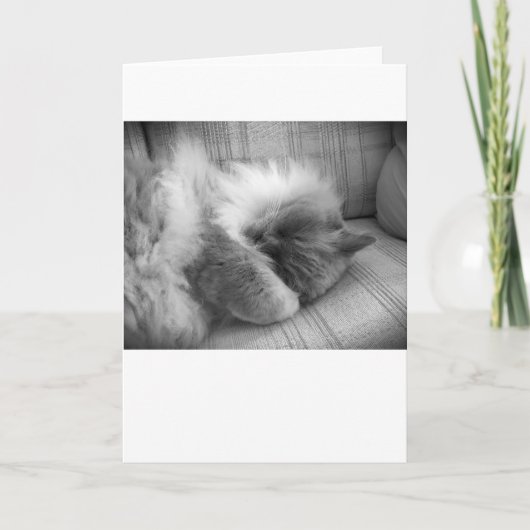 Langsame Tage, Karte (Vorderseite)