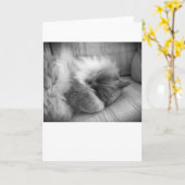 Langsame Tage, Karte (Gelbe Blume)