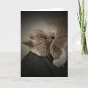 Langsame Tage, Karte