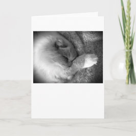 Langsame Tage, Karte