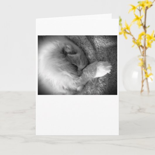 Langsame Tage, Karte (Gelbe Blume)