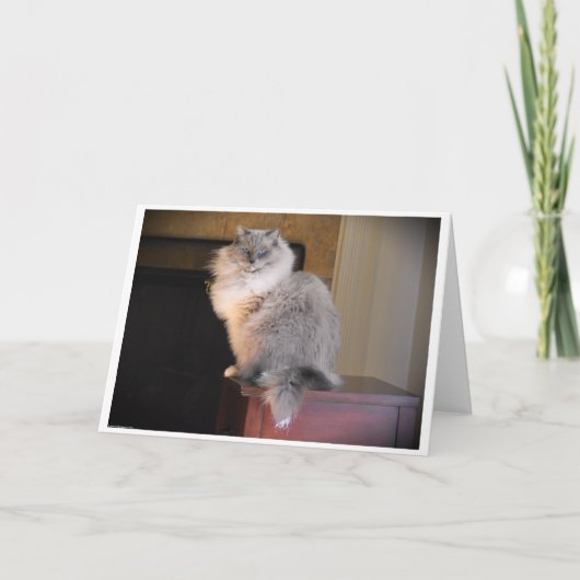 Langsame Tage, Karte (Vorderseite)