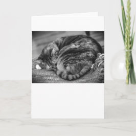 Langsame Tage, Karte