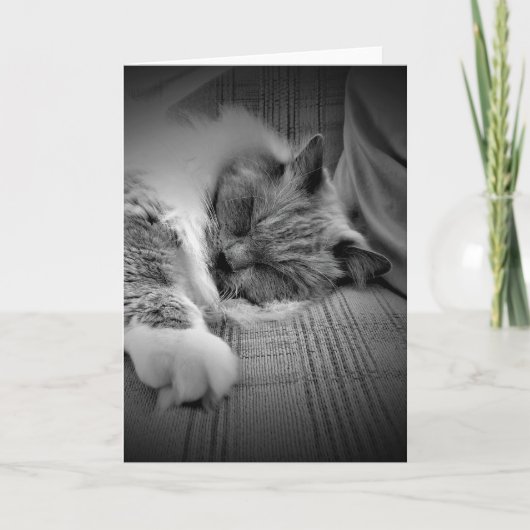 Langsame Tage, Karte (Vorderseite)