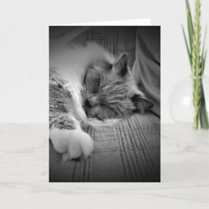 Langsame Tage, Karte