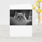 Langsame Tage, Karte (Gelbe Blume)