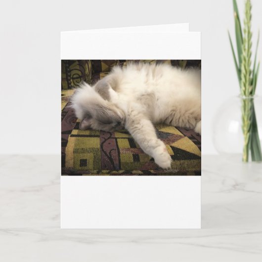 Langsame Tage, Karte (Vorderseite)