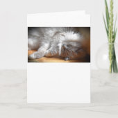 Langsame Tage, Karte (Vorderseite)