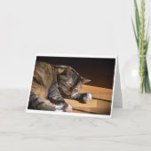 Langsame Tage, Karte (Vorderseite)