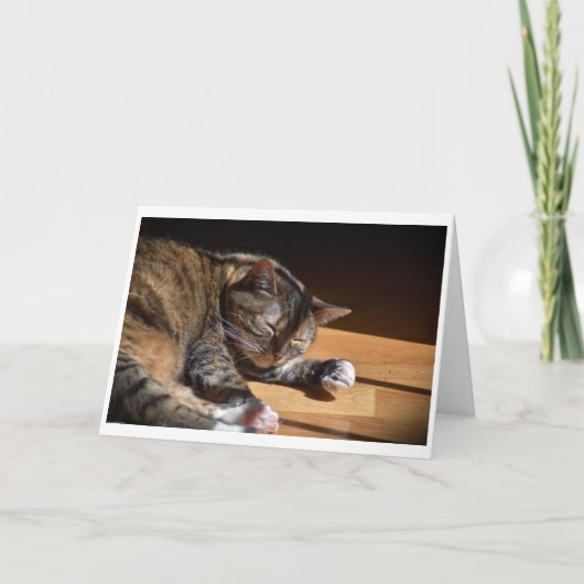 Langsame Tage, Karte (Vorderseite)