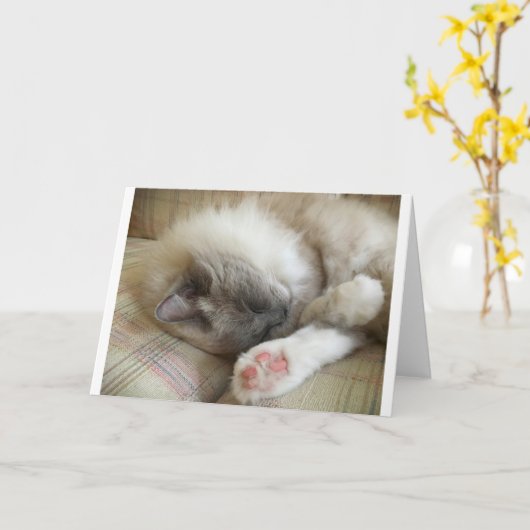 Langsame Tage, Karte (Gelbe Blume)