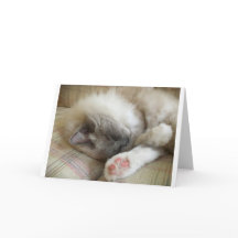 Langsame Tage, Karte