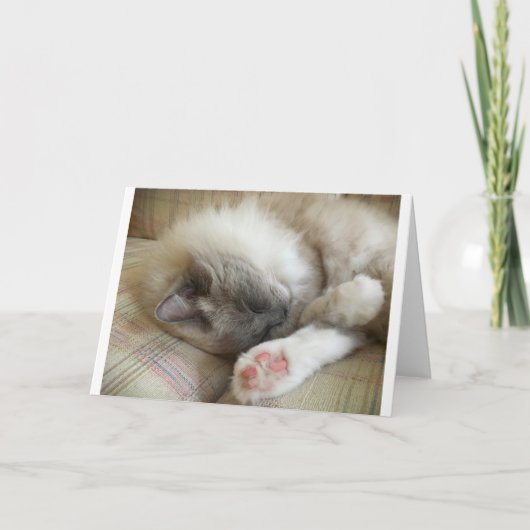 Langsame Tage, Karte (Vorderseite)