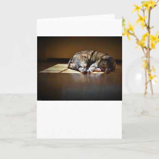 Langsame Tage, Karte (Gelbe Blume)