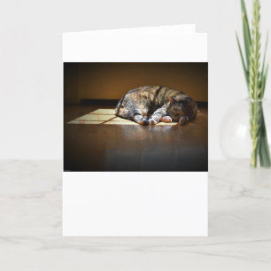 Langsame Tage, Karte