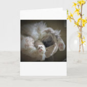 Langsame Tage, Karte (Gelbe Blume)