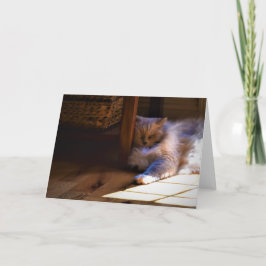 Langsame Tage, Karte