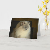 Langsame Tage, Karte (Gelbe Blume)