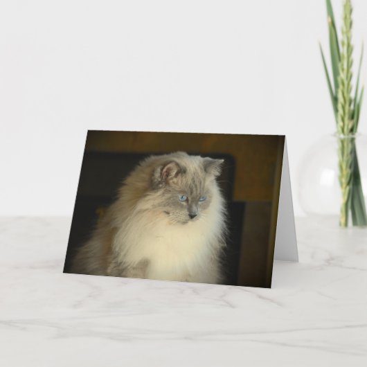 Langsame Tage, Karte (Vorderseite)