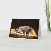 Langsame Tage, Karte (Vorderseite)