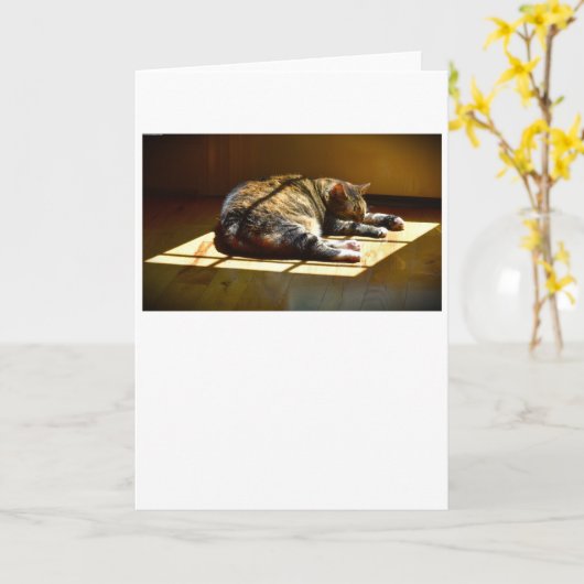 Langsame Tage, Karte (Gelbe Blume)