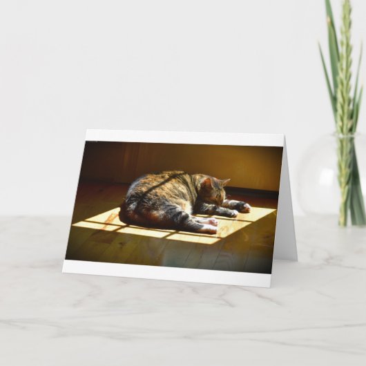 Langsame Tage, Karte (Vorderseite)