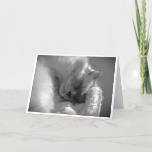 Langsame Tage, Karte