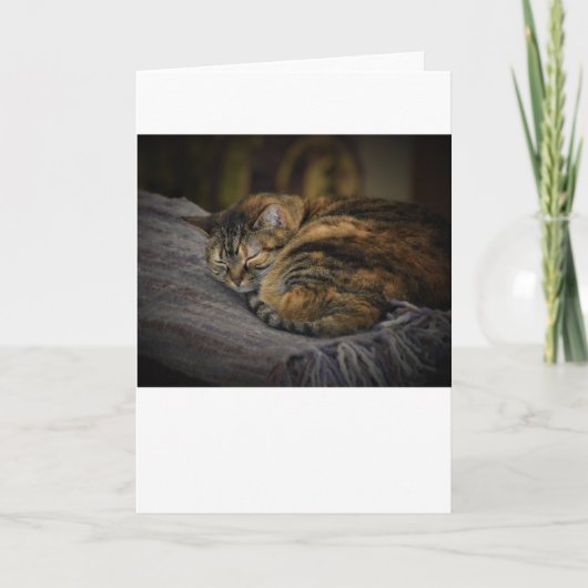 Langsame Tage, Karte (Vorderseite)