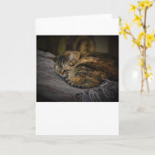 Langsame Tage, Karte (Gelbe Blume)