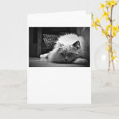 Langsame Tage, Karte (Gelbe Blume)