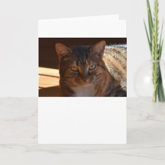 Langsame Tage, Karte (Vorderseite)