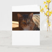 Langsame Tage, Karte (Gelbe Blume)