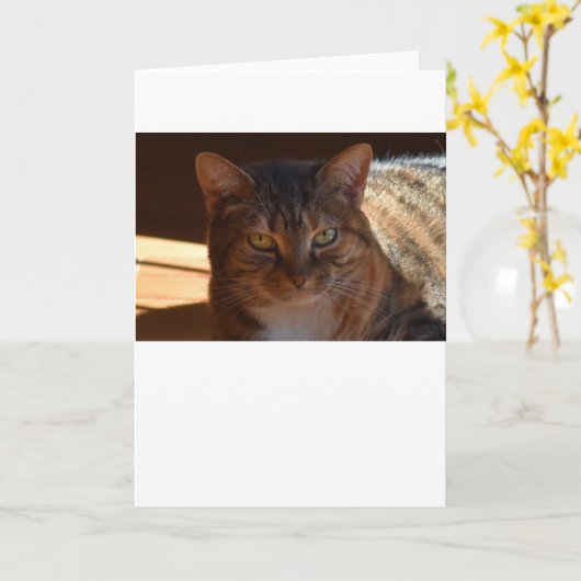 Langsame Tage, Karte (Gelbe Blume)