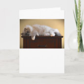 Langsame Tage, Karte (Vorderseite)