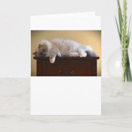 Langsame Tage, Karte