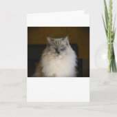 Langsame Tage, Karte (Vorderseite)