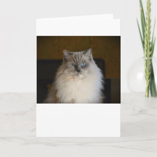 Langsame Tage, Karte (Vorderseite)