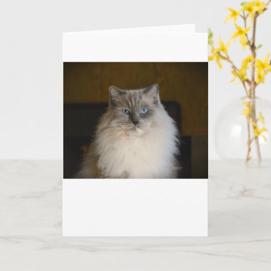 Langsame Tage, Karte (Gelbe Blume)