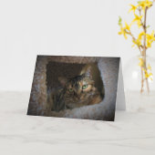 Langsame Tage, Karte (Gelbe Blume)