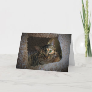 Langsame Tage, Karte