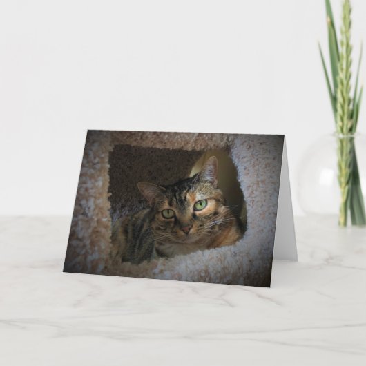 Langsame Tage, Karte (Vorderseite)