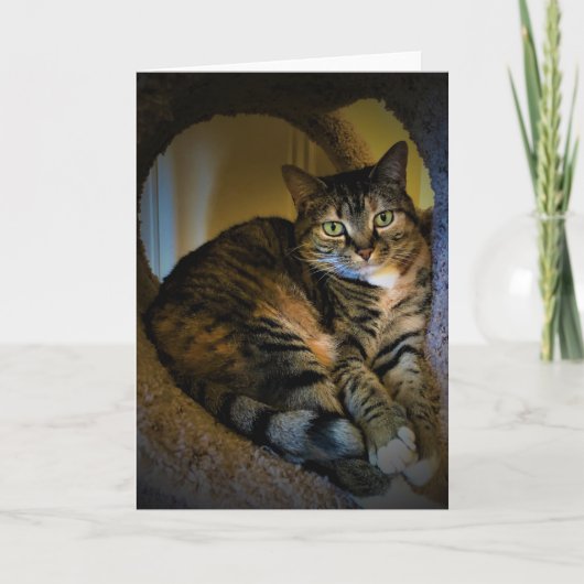 Langsame Tage, Karte (Vorderseite)