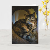 Langsame Tage, Karte (Gelbe Blume)