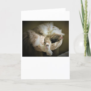 Langsame Tage, Karte