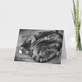 Langsame Tage, Karte