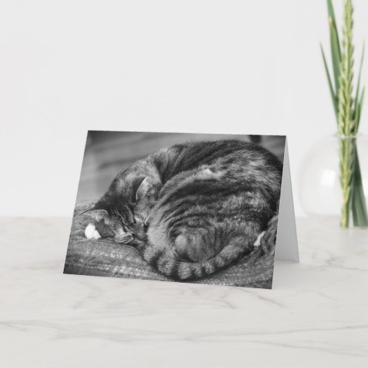 Langsame Tage, Karte (Vorderseite)