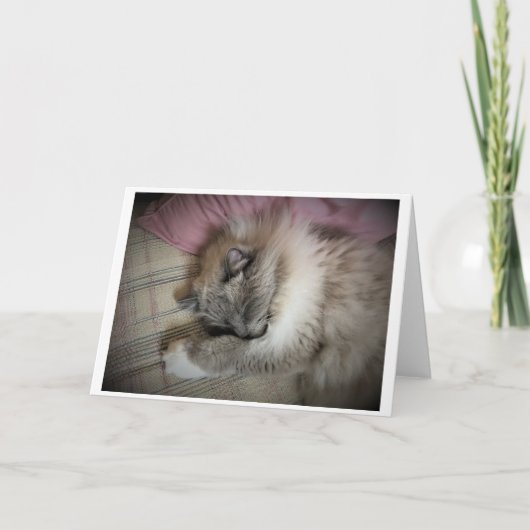 Langsame Tage, Karte (Vorderseite)