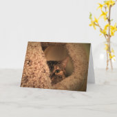 Langsame Tage, Karte (Gelbe Blume)