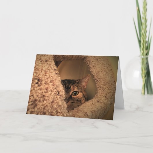 Langsame Tage, Karte (Vorderseite)