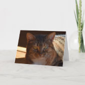 Langsame Tage, Karte (Vorderseite)